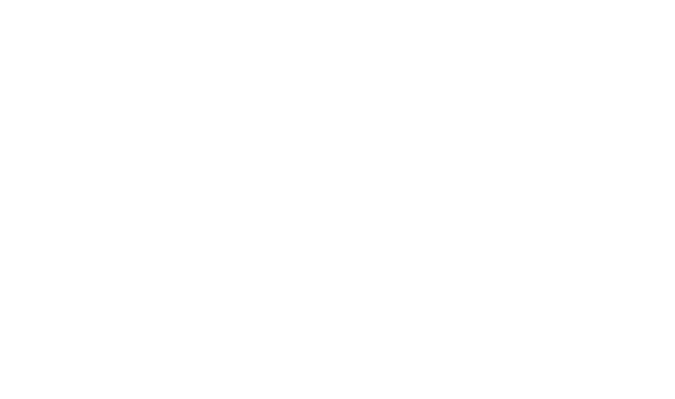 NetApp Al Day